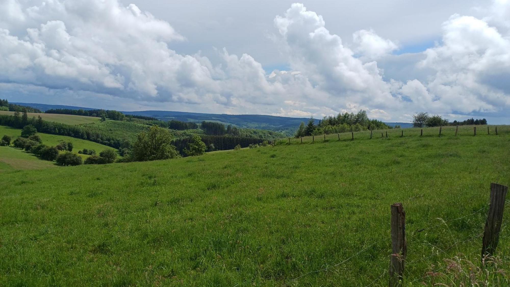 Le Vieux Pres Villa Bertrix Exteriör bild